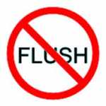 No Flushing